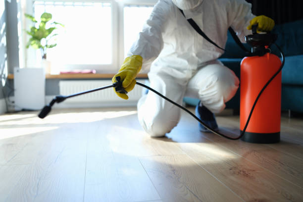 Reliable Odor Removal contractor in Franconia, VA by Trauma Clean Pros